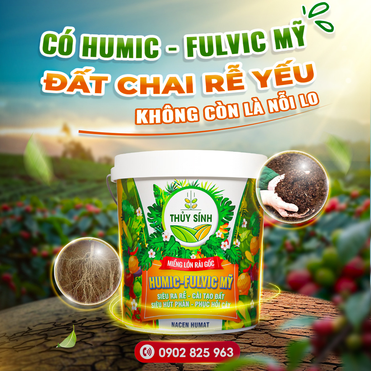 Lĩnh vực nông nghiệp